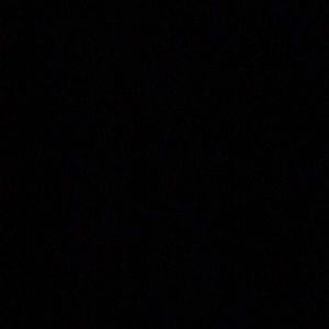 Meet your Posher, Daisy